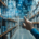 Optimizing Inventory Data and Pricing with NFY Interactive’s Custom Development
